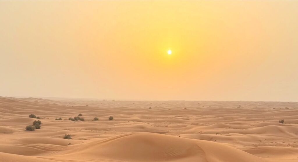 abu dhabi evening safari
