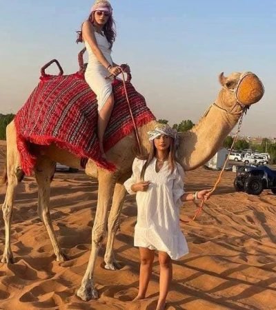 camel